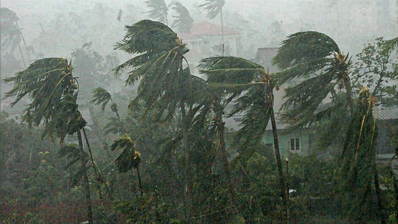 What’s Next? Monitoring the Cold Front